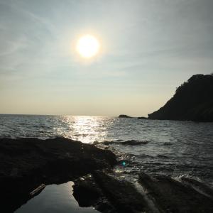 海